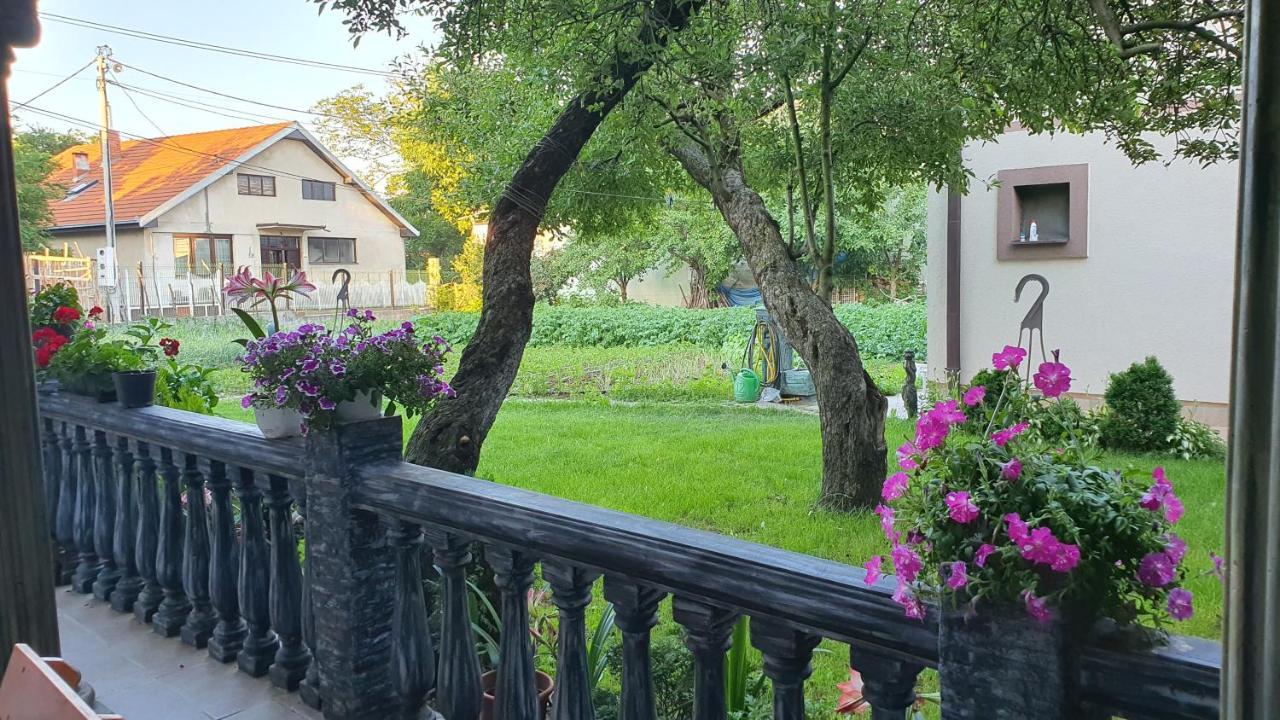 Apartmani Odmor I Mir Vranje Exterior foto