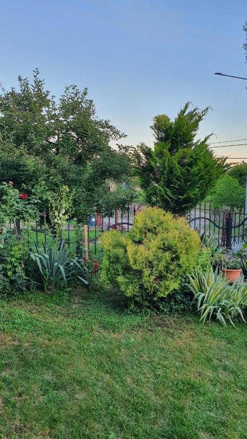 Apartmani Odmor I Mir Vranje Exterior foto