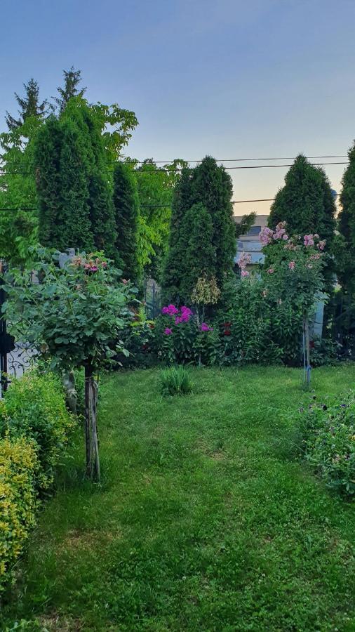 Apartmani Odmor I Mir Vranje Exterior foto