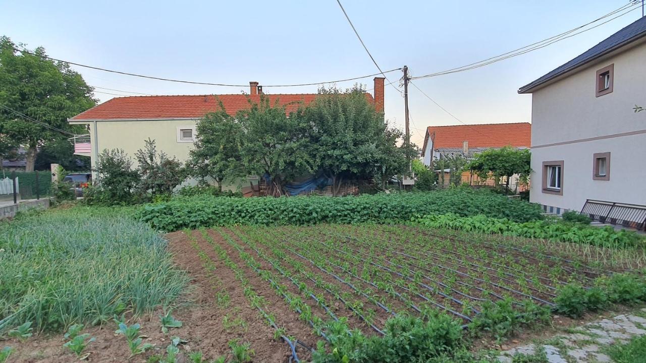Apartmani Odmor I Mir Vranje Exterior foto